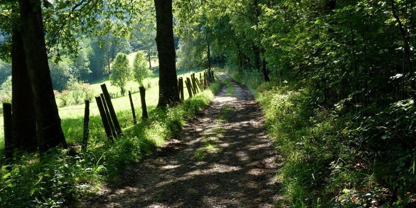 Le Val Du Vieux Chene Chambre D'Hotes Walcourt Zewnętrze zdjęcie